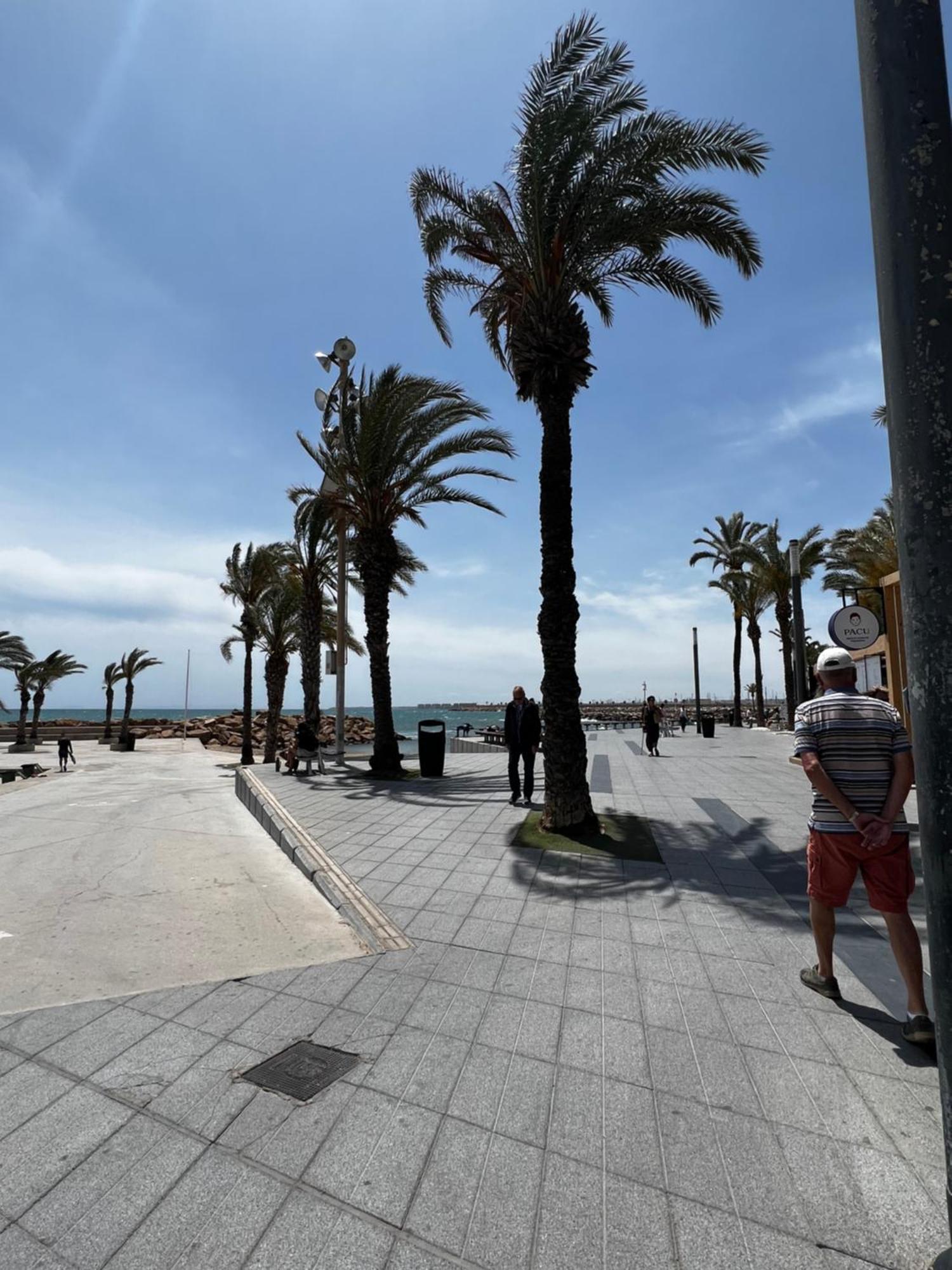 شقة Sunset Playa Del Cura تورّيفيِخا المظهر الخارجي الصورة